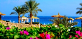 Egipt Sharm El Sheikh