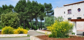 Puglia Alberobello