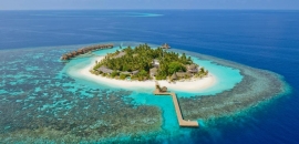 Maldive Ari Atoll