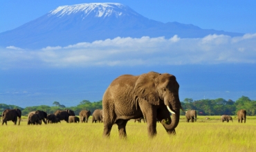 Safari si Sejur Kenya, 1, karpaten.ro